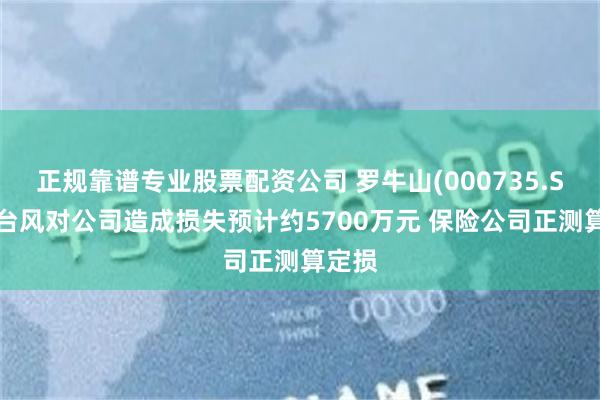 正规靠谱专业股票配资公司 罗牛山(000735.SZ)：台风对公司造成损失预计约5700万元 保险公司正测算定损