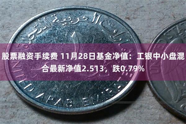 股票融资手续费 11月28日基金净值：工银中小盘混合最新净值2.513，跌0.79%