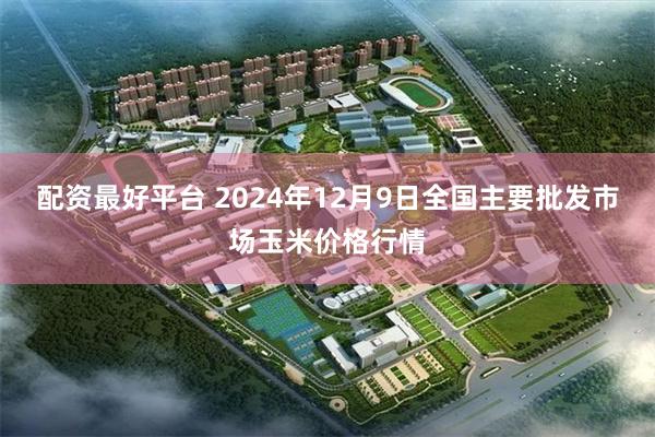 配资最好平台 2024年12月9日全国主要批发市场玉米价格行情