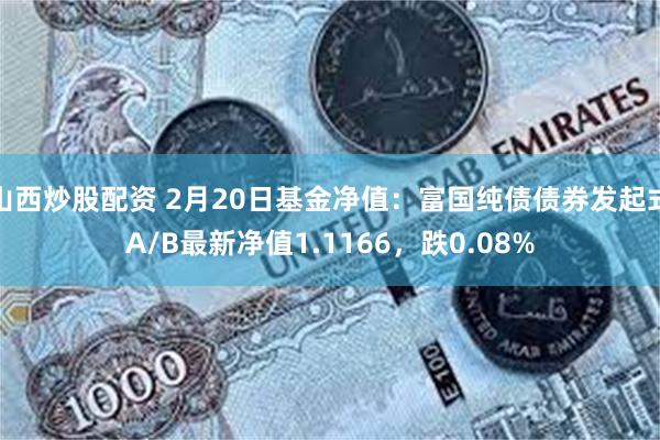 山西炒股配资 2月20日基金净值：富国纯债债券发起式A/B最新净值1.1166，跌0.08%