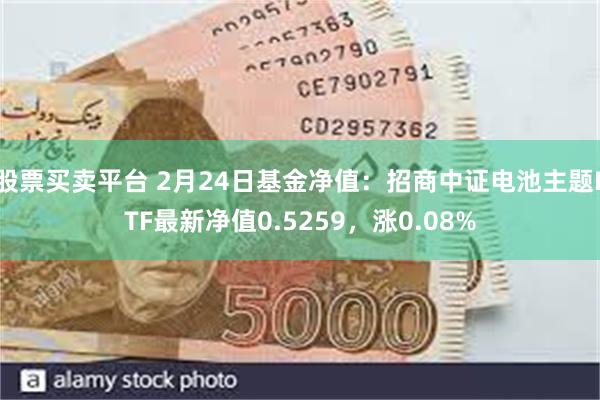 股票买卖平台 2月24日基金净值：招商中证电池主题ETF最新净值0.5259，涨0.08%