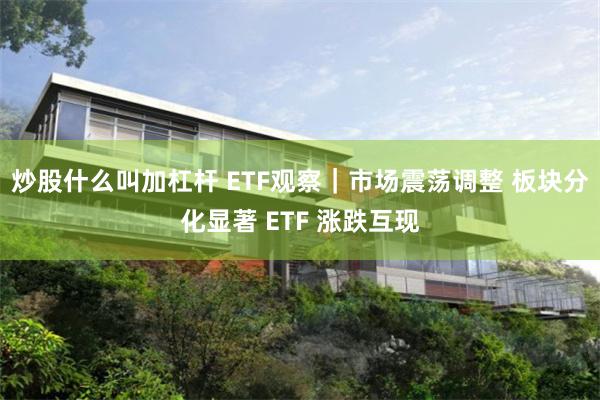 炒股什么叫加杠杆 ETF观察｜市场震荡调整 板块分化显著 ETF 涨跌互现