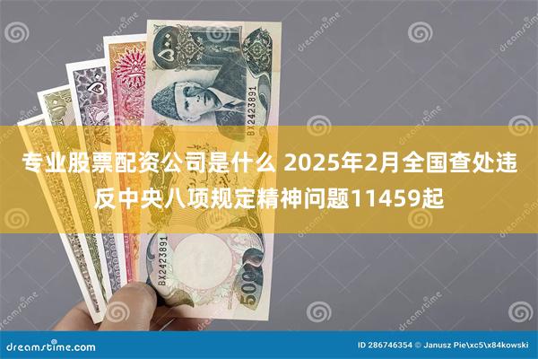 专业股票配资公司是什么 2025年2月全国查处违反中央八项规定精神问题11459起